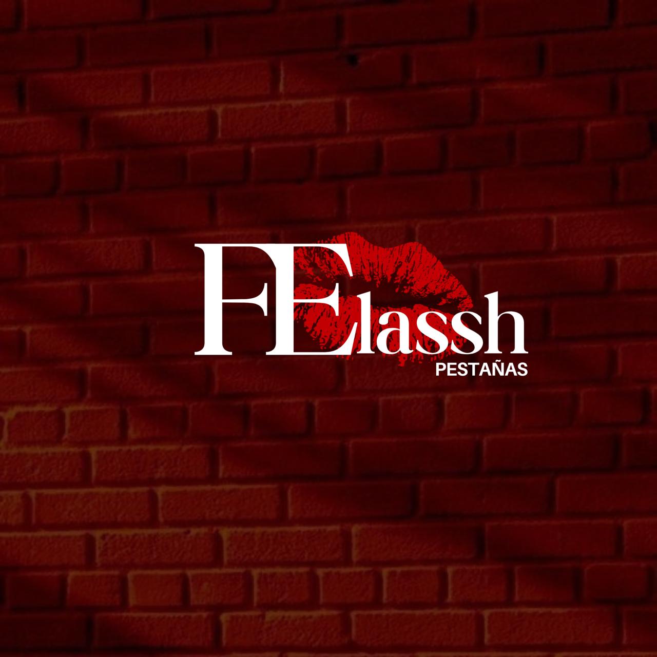 FE lashh